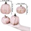 Winlyn 7 Pcs Assorted Sizes Fall Artificial Peach Pink Pumpkins Harvest Faux Foam Light Pink Pumpkins for Fall Autumn Season Halloween Thanksgiving Harvest Festive Tabletop Decoration(Gold Brush Pink)