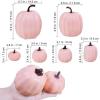 Winlyn 7 Pcs Assorted Sizes Fall Artificial Peach Pink Pumpkins Harvest Faux Foam Light Pink Pumpkins for Fall Autumn Season Halloween Thanksgiving Harvest Festive Tabletop Decoration(Light Pink)