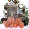 Winlyn 7 Pcs Assorted Sizes Fall Artificial Peach Pink Pumpkins Harvest Faux Foam Light Pink Pumpkins for Fall Autumn Season Halloween Thanksgiving Harvest Festive Tabletop Decoration(Orange and Black)