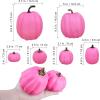 Winlyn 7 Pcs Assorted Sizes Fall Artificial Peach Pink Pumpkins Harvest Faux Foam Light Pink Pumpkins for Fall Autumn Season Halloween Thanksgiving Harvest Festive Tabletop Decoration(Hot Pink)