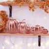 Winlyn 7 Pcs Assorted Sizes Fall Artificial Peach Pink Pumpkins Harvest Faux Foam Light Pink Pumpkins for Fall Autumn Season Halloween Thanksgiving Harvest Festive Tabletop Decoration(Rose Gold)