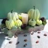 Winlyn 7 Pcs Assorted Sizes Fall Artificial Peach Pink Pumpkins Harvest Faux Foam Light Pink Pumpkins for Fall Autumn Season Halloween Thanksgiving Harvest Festive Tabletop Decoration(Light Green)