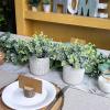 Winlyn Set of 2 Small Faux Potted Plants Artificial Eucalyptus Plant in Chic Gray Geometric Ceramic Pot 7.9″ Tall for Modern Home Table Mantel Shelf Office Desktop Greenery Centerpiece Decorations(Grey Pot)