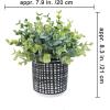 Winlyn Set of 2 Small Faux Potted Plants Artificial Eucalyptus Plant in Chic Gray Geometric Ceramic Pot 7.9″ Tall for Modern Home Table Mantel Shelf Office Desktop Greenery Centerpiece Decorations(Black Pot)