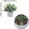 Winlyn Set of 2 Small Faux Potted Plants Artificial Eucalyptus Plant in Chic Gray Geometric Ceramic Pot 7.9″ Tall for Modern Home Table Mantel Shelf Office Desktop Greenery Centerpiece Decorations(Modern Geometric Pot)