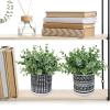 Winlyn Set of 2 Small Faux Potted Plants Artificial Eucalyptus Plant in Chic Gray Geometric Ceramic Pot 7.9″ Tall for Modern Home Table Mantel Shelf Office Desktop Greenery Centerpiece Decorations(Black Pot)