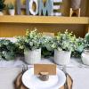 Winlyn Set of 2 Small Faux Potted Plants Artificial Eucalyptus Plant in Chic Gray Geometric Ceramic Pot 7.9″ Tall for Modern Home Table Mantel Shelf Office Desktop Greenery Centerpiece Decorations(Grey Pot)