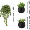 Winlyn Set of 3 Artificial Plants Decor Greenery Fake Succulents Indoor Potted Fake Plant with Black Planter for Farmhouse Room Bathroom Bedroom Kitchen Office Table Desk Decor(Black Pots)