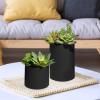 Winlyn Set of 3 Artificial Plants Decor Greenery Fake Succulents Indoor Potted Fake Plant with Black Planter for Farmhouse Room Bathroom Bedroom Kitchen Office Table Desk Decor(Assorted Sizes Black Pots)