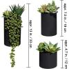 Winlyn Set of 3 Artificial Plants Decor Greenery Fake Succulents Indoor Potted Fake Plant with Black Planter for Farmhouse Room Bathroom Bedroom Kitchen Office Table Desk Decor(Assorted Sizes Black Pots)
