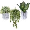 Winlyn Set of 3 Artificial Plants Decor Greenery Fake Succulents Indoor Potted Fake Plant with Black Planter for Farmhouse Room Bathroom Bedroom Kitchen Office Table Desk Decor(White Pots With Pattern)