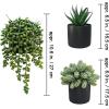 Winlyn Set of 3 Artificial Plants Decor Greenery Fake Succulents Indoor Potted Fake Plant with Black Planter for Farmhouse Room Bathroom Bedroom Kitchen Office Table Desk Decor(Black Ceramic Pots)