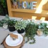 Winlyn Set of 3 Artificial Plants Decor Greenery Fake Succulents Indoor Potted Fake Plant with Black Planter for Farmhouse Room Bathroom Bedroom Kitchen Office Table Desk Decor(Black Ceramic Pots)