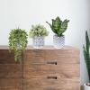 Winlyn Set of 3 Artificial Plants Decor Greenery Fake Succulents Indoor Potted Fake Plant with Black Planter for Farmhouse Room Bathroom Bedroom Kitchen Office Table Desk Decor(White Pots With Pattern)