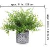Winlyn Set of 3 Assorted Small Potted Plants Faux Eucalyptus Boxwood Plants Aloe Succulent Plant in Black and White Geometric Pots for Table Centerpiece Windowsill Shelf Indoor Outdoor Greenery Decor