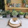 Winlyn Set of 3 Assorted Small Potted Succulents Arrangement Artificial Succulent Plants in Black and White Geometric Pots for Table Centerpiece Windowsill Shelf Indoor Outdoor Garden Greenery Decor