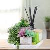Winlyn Set of 3 Assorted Small Potted Succulents Plants Decoration Assorted Green Succulents Plants in Rustic Wooden Pots for Home Living Room Bathroom Table Shelf Windowsill Office Desk Indoor Decor