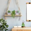 Winlyn Set of 3 Assorted Small Potted Succulents Plants Decoration Assorted Green Succulents Plants in Rustic Wooden Pots for Home Living Room Bathroom Table Shelf Windowsill Office Desk Indoor Decor