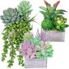 Winlyn Set of 3 Assorted Small Potted Succulents Plants Decoration Assorted Green Succulents Plants in Rustic Wooden Pots for Home Living Room Bathroom Table Shelf Windowsill Office Desk Indoor Decor