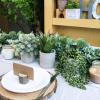 Winlyn Set of 3 Mini Potted Succulents Artificial String of Pearls Aloe Hops Succulent Plants in Gray Pots for Gifts Table Shelves Windowsill Office Desk Indoor Greenery Decorations Wedding Favors