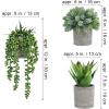 Winlyn Set of 3 Mini Potted Succulents Artificial String of Pearls Aloe Hops Succulent Plants in Gray Pots for Gifts Table Shelves Windowsill Office Desk Indoor Greenery Decorations Wedding Favors