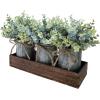 Winlyn Set of 3 Small Artificial Eucalyptus Plants Arrangement Centerpiece Faux Eucalyptus Greenery in Rustic Galvanized Metal Pots with Rectangle Wood Box for Farmhouse Home Table Shelf Décor