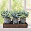Winlyn Set of 3 Small Artificial Eucalyptus Plants Arrangement Centerpiece Faux Eucalyptus Greenery in Rustic Galvanized Metal Pots with Rectangle Wood Box for Farmhouse Home Table Shelf Décor