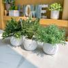 Winlyn Set of 3 Small Artificial Potted Plants – Eucalyptus, Rosemary & Tropical Snake Plant in White Geometric Pots for Table Centerpieces Shelf Windowsill Desk Indoor Outdoor Greenery Decor