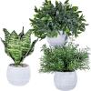 Winlyn Set of 3 Small Artificial Potted Plants – Eucalyptus, Rosemary & Tropical Snake Plant in White Geometric Pots for Table Centerpieces Shelf Windowsill Desk Indoor Outdoor Greenery Decor