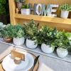 Winlyn Set of 3 Small Artificial Potted Plants – Eucalyptus, Rosemary & Tropical Snake Plant in White Geometric Pots for Table Centerpieces Shelf Windowsill Desk Indoor Outdoor Greenery Decor