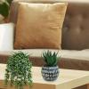 Winlyn Set of 3 Small Artificial Succulent Potted Plants Faux Aloe Hops Hanging Succulent in Rustic Galvanized Metal Pots Fake Plant Decor for Farmhouse Home Office Wedding Windowsill Table Shelf(Black Pot)