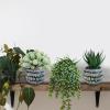 Winlyn Set of 3 Small Artificial Succulent Potted Plants Faux Aloe Hops Hanging Succulent in Rustic Galvanized Metal Pots Fake Plant Decor for Farmhouse Home Office Wedding Windowsill Table Shelf(Black Pot)