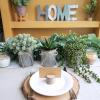 Winlyn Set of 3 Small Artificial Succulent Potted Plants Faux Aloe Hops Hanging Succulent in Rustic Galvanized Metal Pots Fake Plant Decor for Farmhouse Home Office Wedding Windowsill Table Shelf(Galvanized Metal Pot)