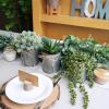 Winlyn Set of 3 Small Artificial Succulent Potted Plants Faux Aloe Hops Hanging Succulent in Rustic Galvanized Metal Pots Fake Plant Decor for Farmhouse Home Office Wedding Windowsill Table Shelf(Galvanized Metal Pot)