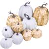 14 pcs Assorted Harvest Artificial White and Pink Pumpkins Decorative Pumpkins Faux Foam Pumpkins for Farmhouse Fall Halloween Harvest Wedding Baby Shower Tabletop Centerpiece Mantel Kitchen Decor(White and Gold Brushed White)