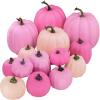 14 pcs Assorted Harvest Artificial White and Pink Pumpkins Decorative Pumpkins Faux Foam Pumpkins for Farmhouse Fall Halloween Harvest Wedding Baby Shower Tabletop Centerpiece Mantel Kitchen Decor(Assorted Pink)