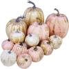 14 pcs Assorted Harvest Artificial White and Pink Pumpkins Decorative Pumpkins Faux Foam Pumpkins for Farmhouse Fall Halloween Harvest Wedding Baby Shower Tabletop Centerpiece Mantel Kitchen Decor(Gold Brushed White and Pink)