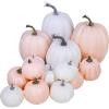 14 pcs Assorted Harvest Artificial White and Pink Pumpkins Decorative Pumpkins Faux Foam Pumpkins for Farmhouse Fall Halloween Harvest Wedding Baby Shower Tabletop Centerpiece Mantel Kitchen Decor(White and Pink)