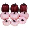 9 Pcs Assorted Small Frosted Artificial Pumpkins Rustic Harvest Decorative Pumpkins Foam Pumpkins in Pastel Orange Green White for Fall Halloween Thanksgiving Table Centerpiece Mantel Kitchen Decor(Pink)