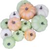 BESTTOYHOME 12 Pcs Assorted Small Light Pink Pumpkins – Elegant Pastel Pink Faux Decorative Pumpkins for Fall, Halloween, Thanksgiving, Wedding, Baby Shower(Green & Orange & White)