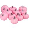 BESTTOYHOME 12 Pcs Assorted Small Light Pink Pumpkins – Elegant Pastel Pink Faux Decorative Pumpkins for Fall, Halloween, Thanksgiving, Wedding, Baby Shower(Pink)