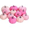 BESTTOYHOME 12 Pcs Assorted Small Light Pink Pumpkins – Elegant Pastel Pink Faux Decorative Pumpkins for Fall, Halloween, Thanksgiving, Wedding, Baby Shower(Assorted Pink)