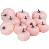 BESTTOYHOME 12 Pcs Assorted Small Light Pink Pumpkins – Elegant Pastel Pink Faux Decorative Pumpkins for Fall, Halloween, Thanksgiving, Wedding, Baby Shower(Light Pink)