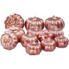 BESTTOYHOME 12 Pcs Assorted Small Light Pink Pumpkins – Elegant Pastel Pink Faux Decorative Pumpkins for Fall, Halloween, Thanksgiving, Wedding, Baby Shower(Rose Gold)
