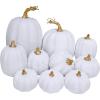 Winlyn 10 Pcs Assorted Navy Blue Artificial Pumpkins Dark Blue Pumpkins Decorative Pumpkins Faux Foam Pumpkins for Fall Farmhouse Thanksgiving Halloween Table Centerpiece Kitchen Table Mantel Décor(White)