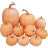 Winlyn 10 Pcs Assorted Navy Blue Artificial Pumpkins Dark Blue Pumpkins Decorative Pumpkins Faux Foam Pumpkins for Fall Farmhouse Thanksgiving Halloween Table Centerpiece Kitchen Table Mantel Décor(Light Orange)