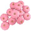 Winlyn 12 Pcs Small Artificial Pink Faux Pumpkins Decorative Foam Pumpkins for Fall Wedding Halloween Thanksgiving Baby Shower Table Centerpiece Farmhouse Mantel Decor(Pink)