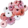 Winlyn 16 Pcs Assorted Small Faux Rustic Harvest Velvet Pumpkins Decorative Rust Orange Gold Olive Gray Fabric Pumpkins Foam Pumpkins Farmhouse Fall Thanksgiving Halloween Table Centerpiece Decor(Blush Pink and White)