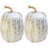 Winlyn 2 Pcs Large Artificial Pumpkins 8.7″ Harvest Cream Faux Pumpkins Decorative Pumpkins Big Foam Pumpkins for Fall Autumn Wedding Baby Shower Thanksgiving Halloween Party Decor Table Centerpiece(Gold Brush White)