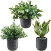 Winlyn 3 Pack Small Potted Artificial Plants Faux Rosemary Boxwood Snake Plants in White Cement Planters Decorative Plants 8.3″-9.3″ Tall for Home Office Desk Bathroom Shelf Tabletop Greenery Décor(Black)